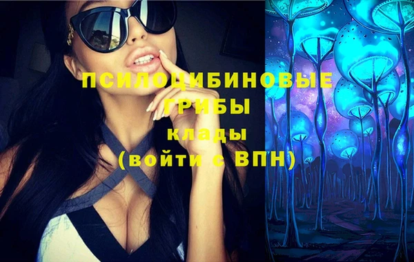 стафф Няндома
