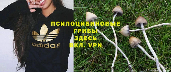 ПСИЛОЦИБИНОВЫЕ ГРИБЫ Нязепетровск