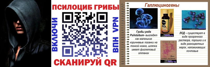 Галлюциногенные грибы мицелий  Купить  Владимир 