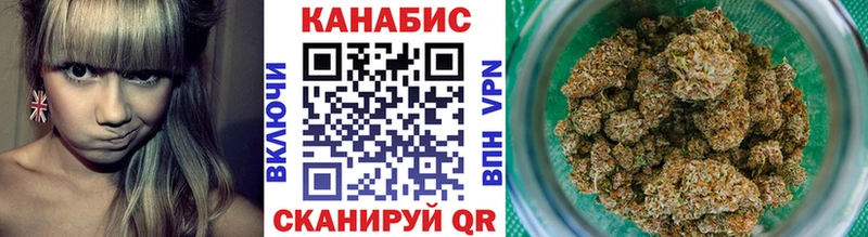 Каннабис гибрид Владимир